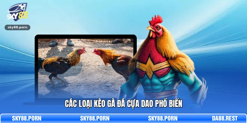 Các loại kèo gà đá cựa dao phổ biến