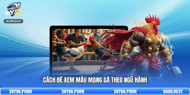 Cách để xem màu mạng gà theo ngũ hành