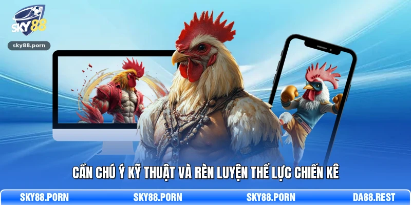 Cần chú ý kỹ thuật và rèn luyện thể lực chiến kê