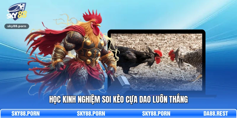 Học kinh nghiệm soi kèo cựa dao luôn thắng