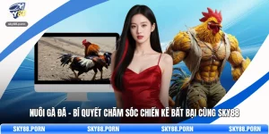 Nuôi Gà Đá - Bí Quyết Chăm Sóc Chiến Kê Bất Bại Cùng SKY88