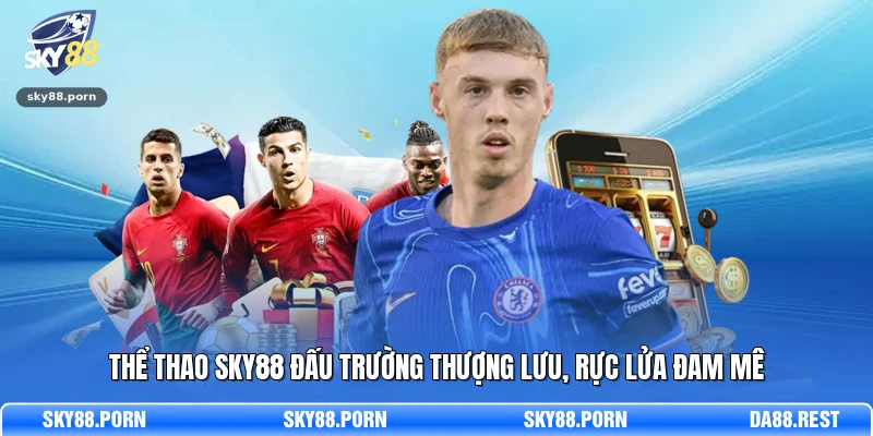 Thể thao SKY88 đấu trường thượng lưu, rực lửa đam mê